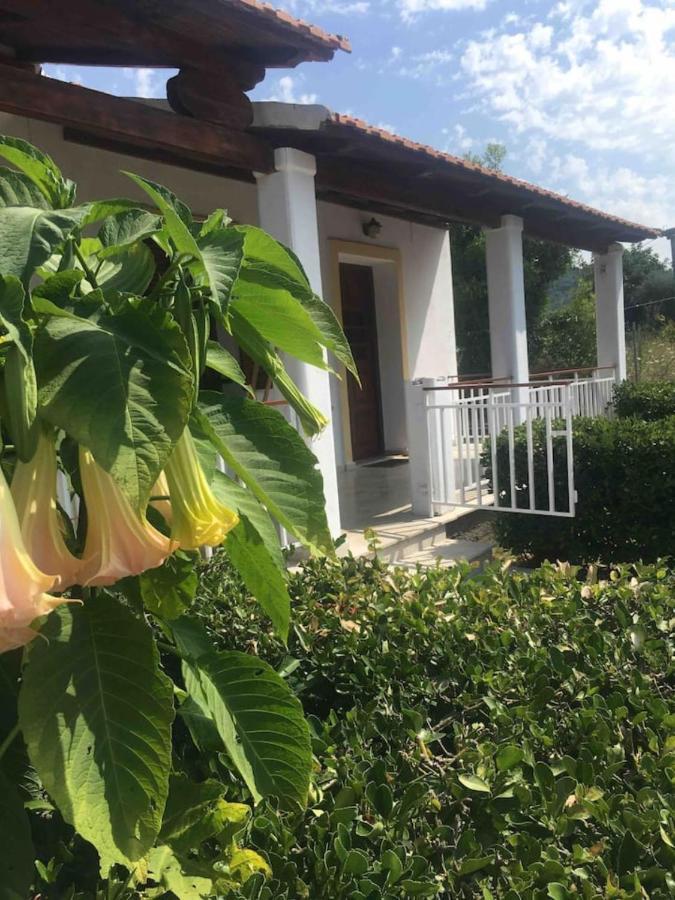 Thanos Rooms Arillas  Buitenkant foto